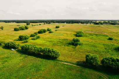 Działka Sprzedaż Modrzewie