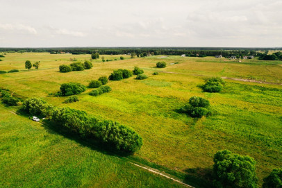 Działka Sprzedaż Modrzewie