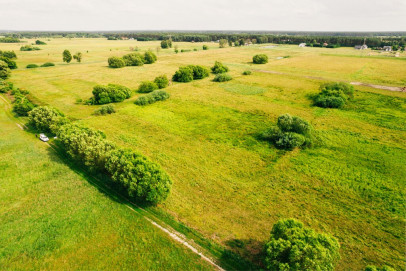 Działka Sprzedaż Modrzewie